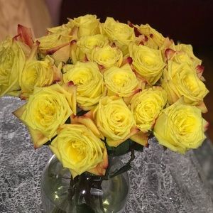 Meet your Posher, Rita